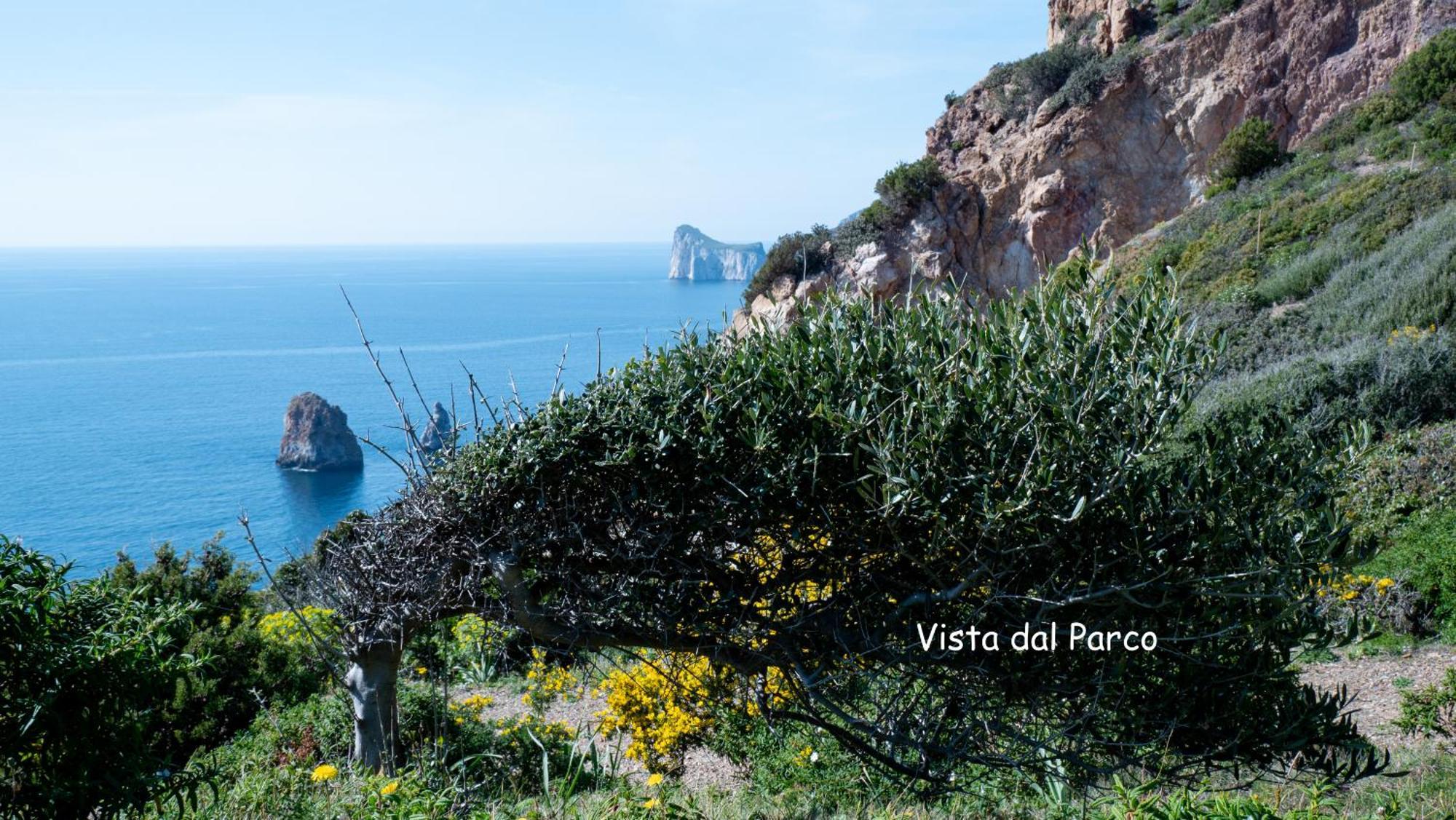 Il Sogno Tanca Piras Villa Nebida Eksteriør bilde